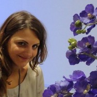 giulia ghini