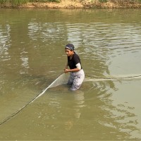 Mayurika Das