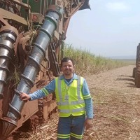 Elton Camargo