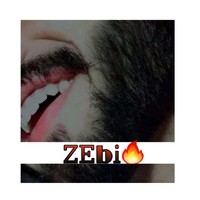 Zebi Virk
