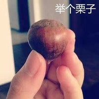 侯则辰