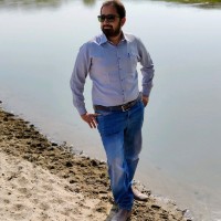 WASIF SAEED