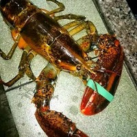 張俊生