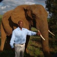 Dapheral Adams