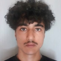 Mehdi Zoubir