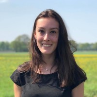 Nicky Vervloet