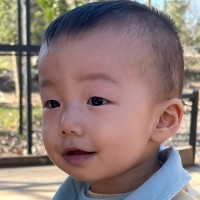 Theo Lee