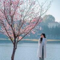Tran Huyen Trang