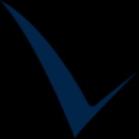 Viser Solutions