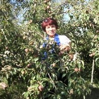 Людмила Ильина