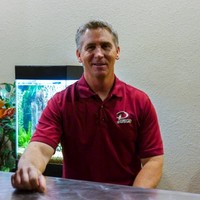 Steve Perigo