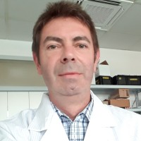 Werner Lachmann