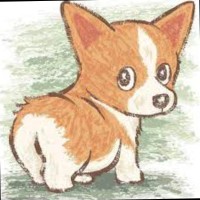 Zhang Polarboy