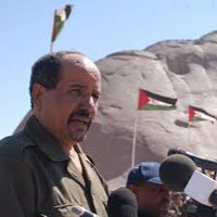 Wahba Nafi