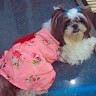 Glinda Nikitha.P