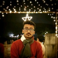 Md. Parvej Hoque Palash