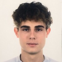 Gianluca Brinis