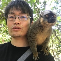 Hiroki Yamazaki