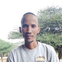 Ignatius Davids