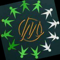 jann maitree foundation