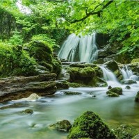 Mohammed Arshaq