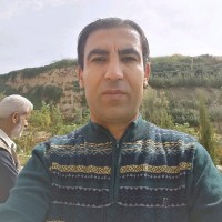 Ayman Dardona
