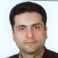 Seyedmohsen Hosseini