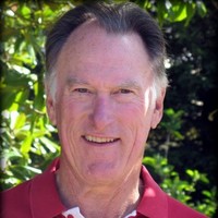 David Vinson