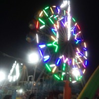 Usha M