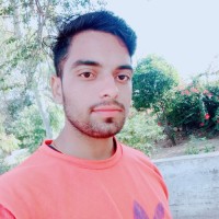 ankit bhargav