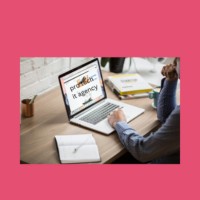 pro tech it agency