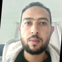 Hossam Anwer