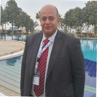 Mohamed GadAllah PMP®,CEng MIChemE®,FS Eng®TÜV Rheinland, PCEM®AUC.