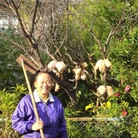 新谷　京大晃崇