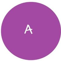 Architact A