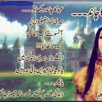 Shahbaz Raja