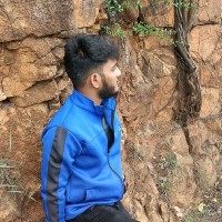 Vignesh P
