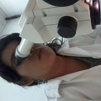 Linnet Roque Romero