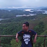Sulis Sulis