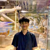 Taufiq Fauzi