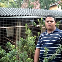 Wesley Fernandes