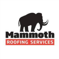 Mammoth Services