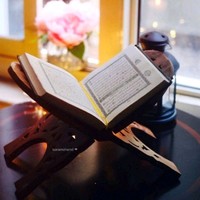 حيدر الباشا