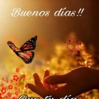Humberto Curbellogmail