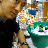 Peter Hwang