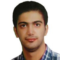 Mohammad Mahdi Seifi