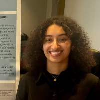 Najla Silmi
