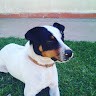 Maximo B