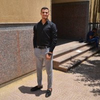 Ahmed El Shaer