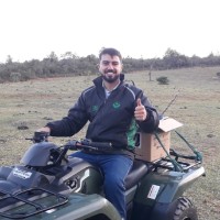 Kassiano Felipe Dias Rodrigues